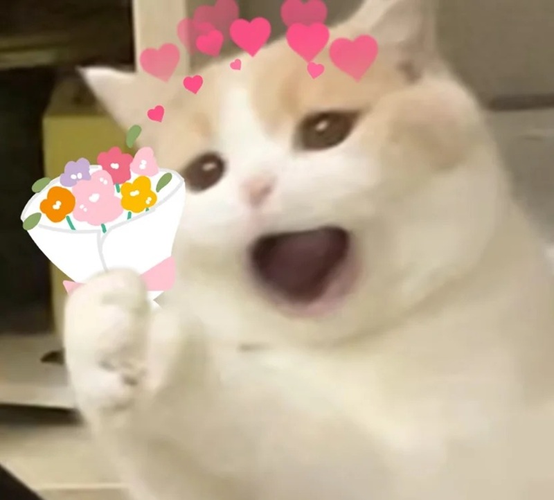 thank you meme 33