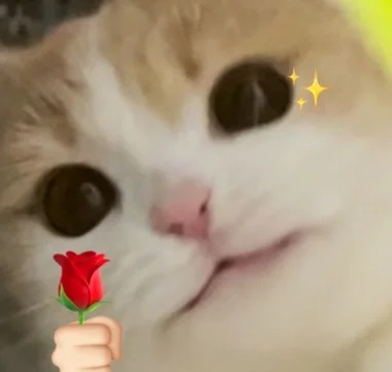 thank you meme 34