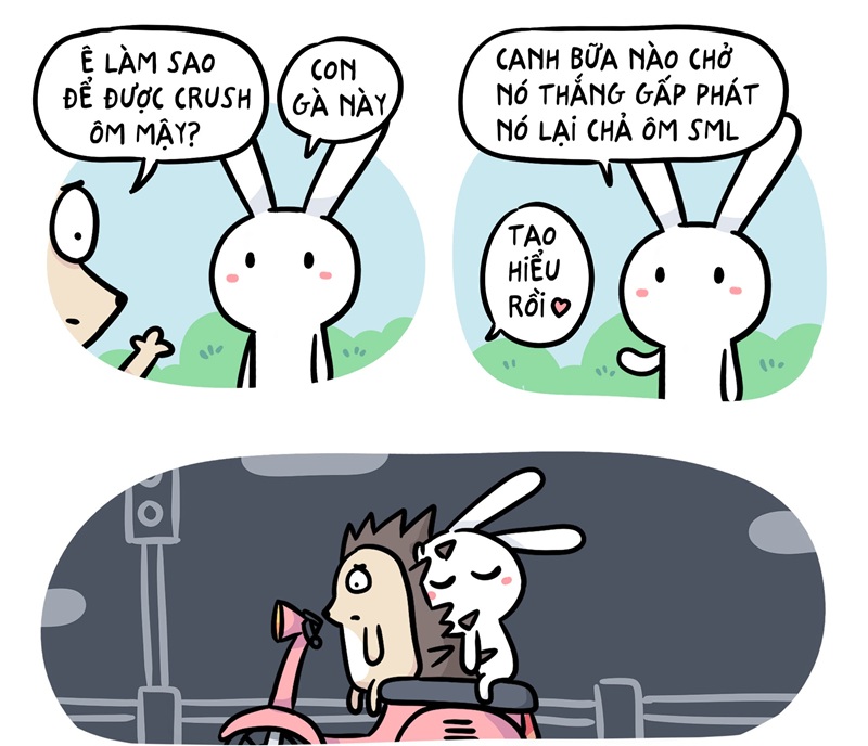 thỏ bảy màu meme 1