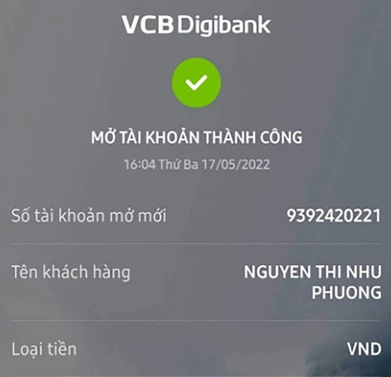Các dạng số tài khoản Vietcombank ấn tượng
