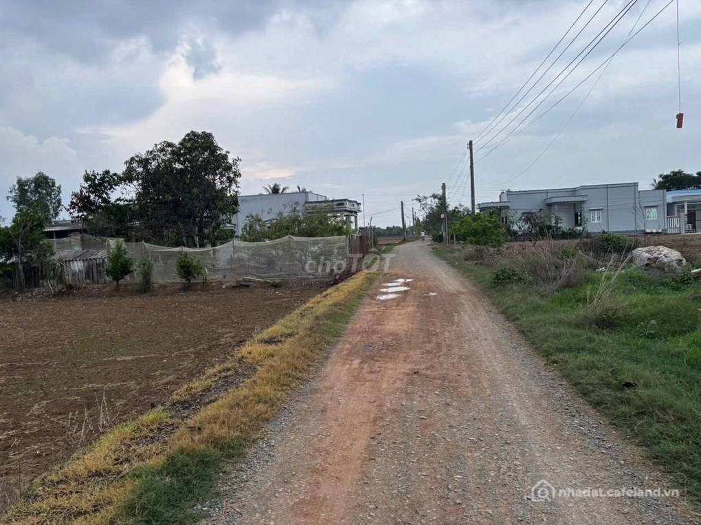 Đất lúa Đảo Long Hựu, mô hình nhà vườn giá rẻ