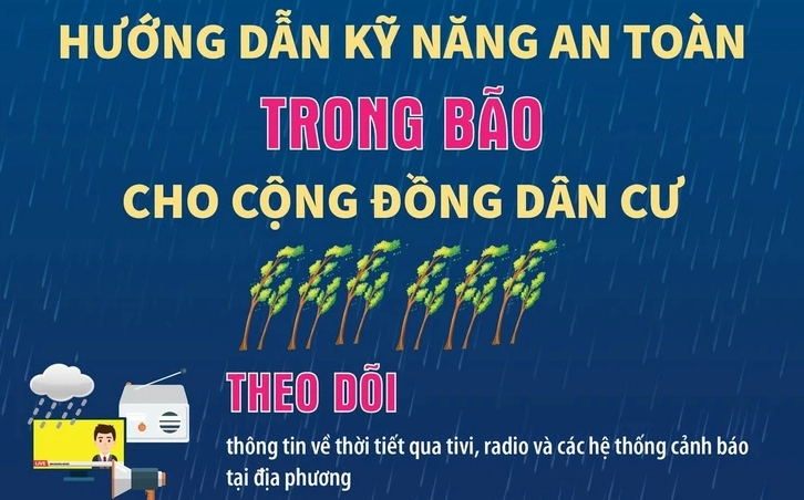 Ảnh minh họa tác động của gió mạnh đến môi trường