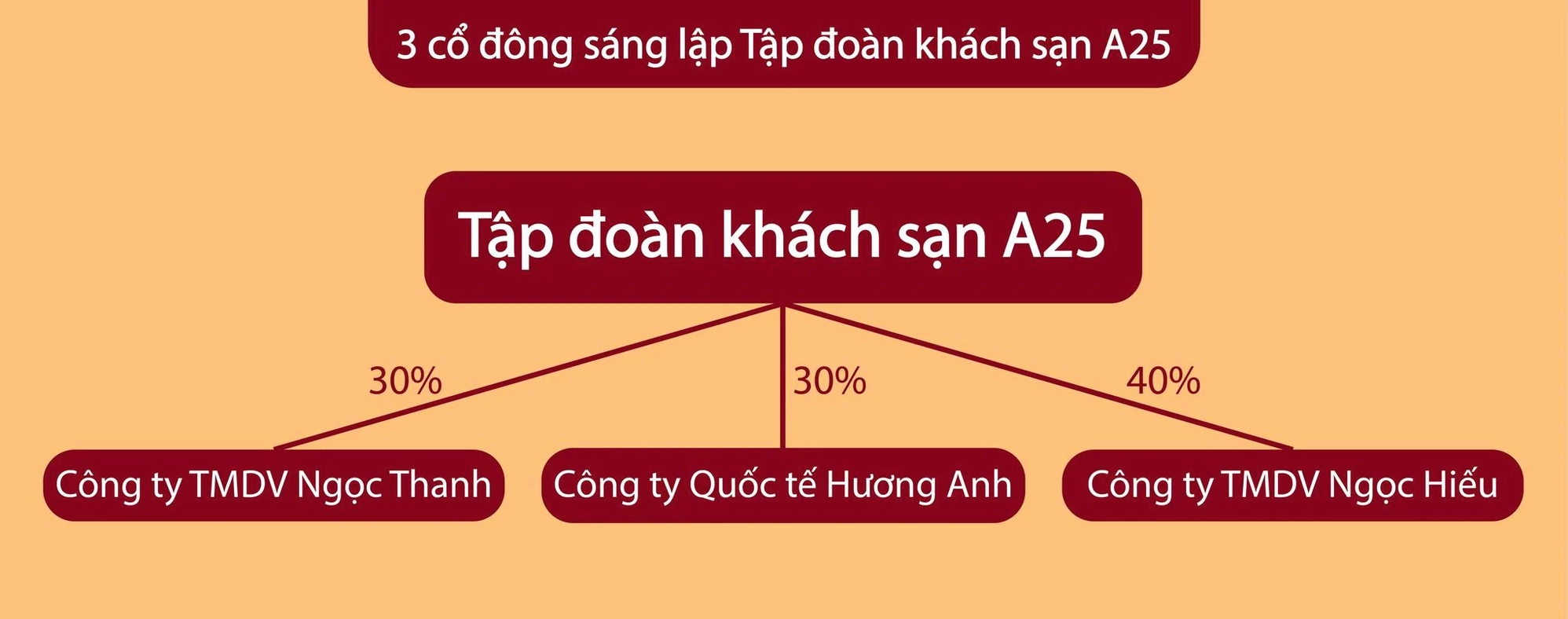 Bà Nguyễn Thị Thuý Loan, Chủ tịch chuỗi khách sạn A25