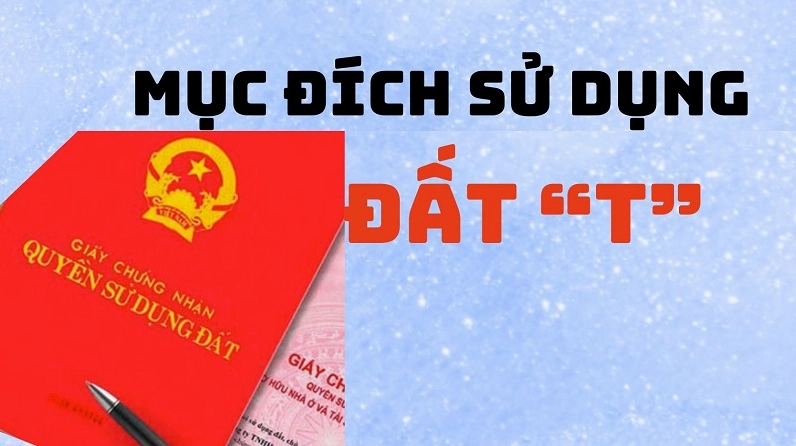 Cận cảnh Giấy chứng nhận quyền sử dụng đất