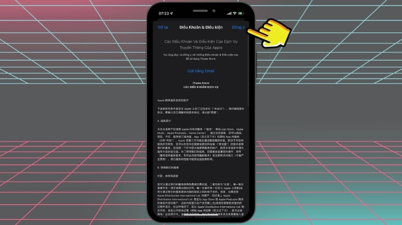 Đọc và đồng ý các điều khoản khi thay đổi vùng trên App Store