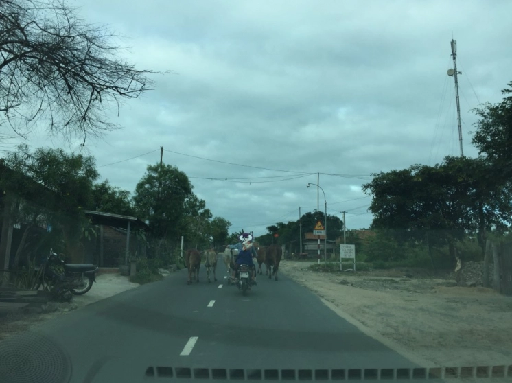 Kinh nghiệm đi Phú Yên từ Đắk Lắk