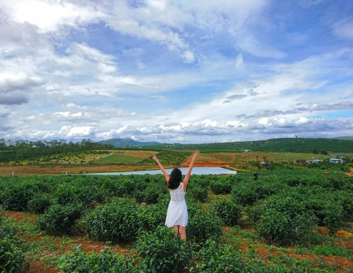 Kinh nghiệm du lịch Di Linh Lâm Đồng