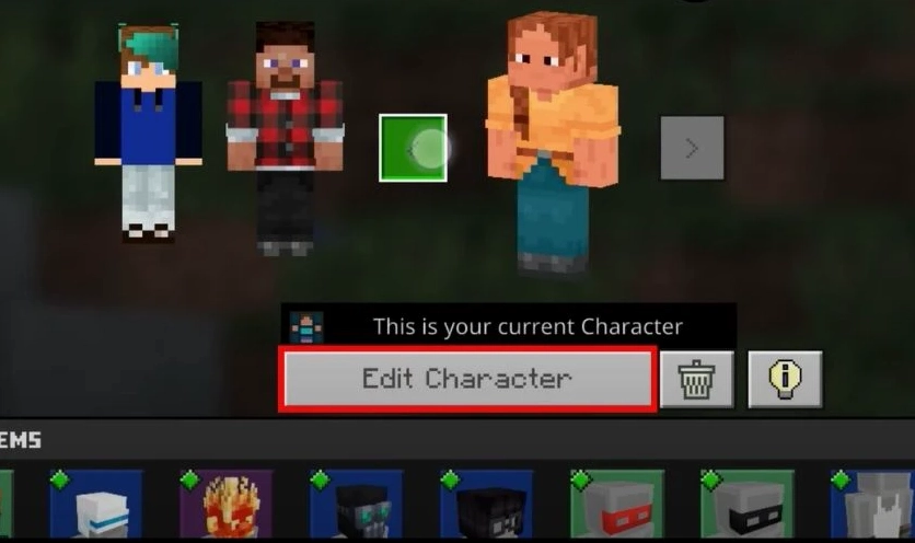 Nhấn vào Edit Character để tùy chỉnh skin nhân vật