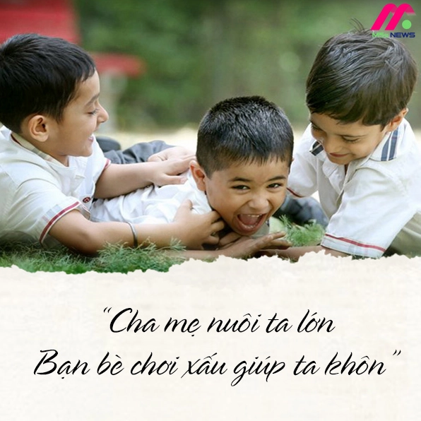 Những câu chửi văn minh, lịch sự về tình bạn