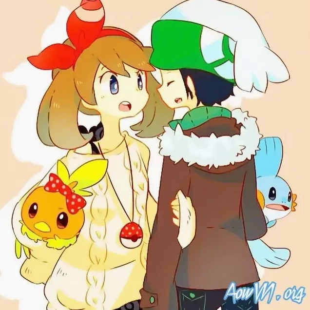 Pokemon Emerald Việt Hóa - AowVN Game