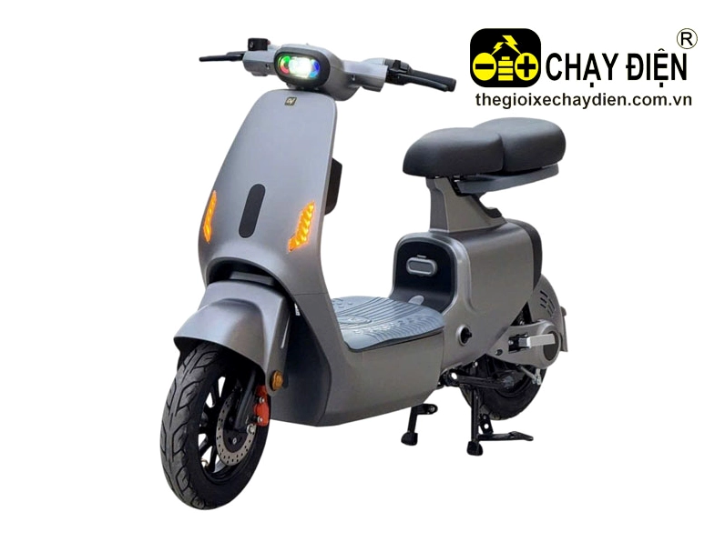 Xe điện V1 Plus